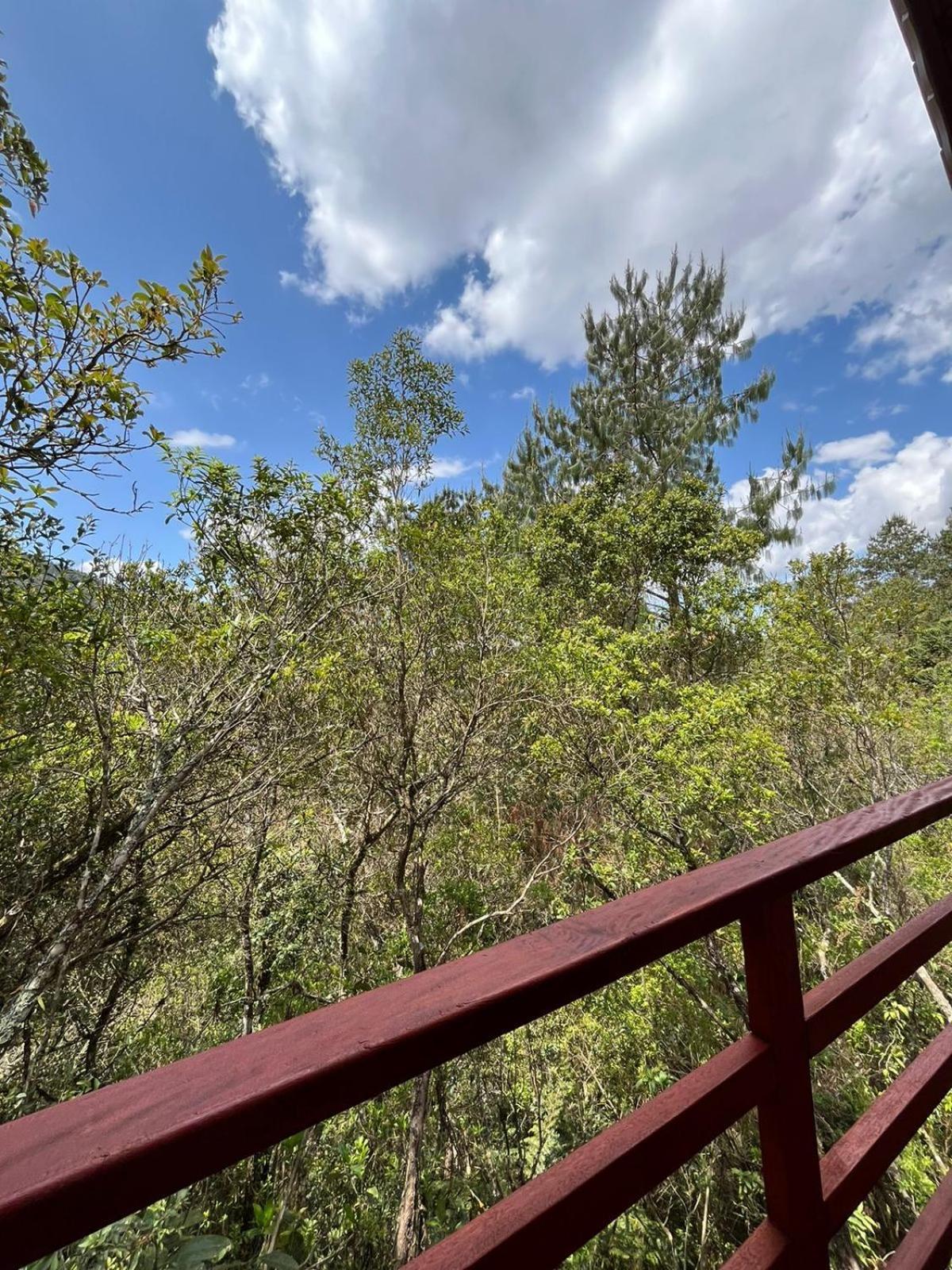 Pousada Recanto Do Saua - Monte Verde Monte Verde  Rom bilde